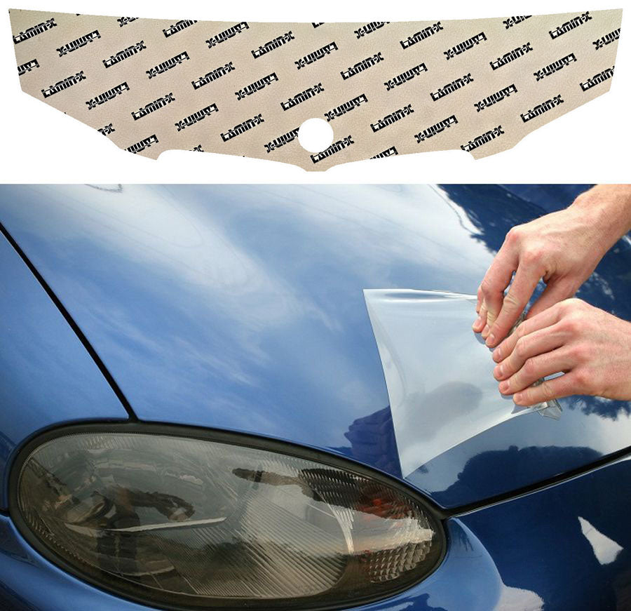 BMW 7 Series (05-08) Invisible Bug Guard