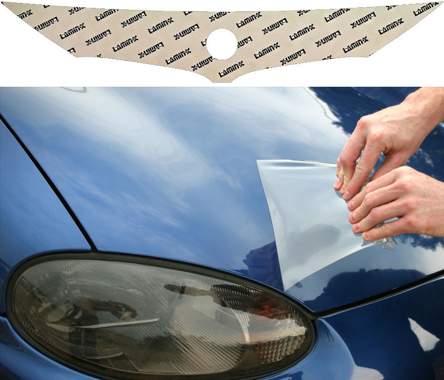 BMW 7 Series (16-19) Invisible Bug Guard