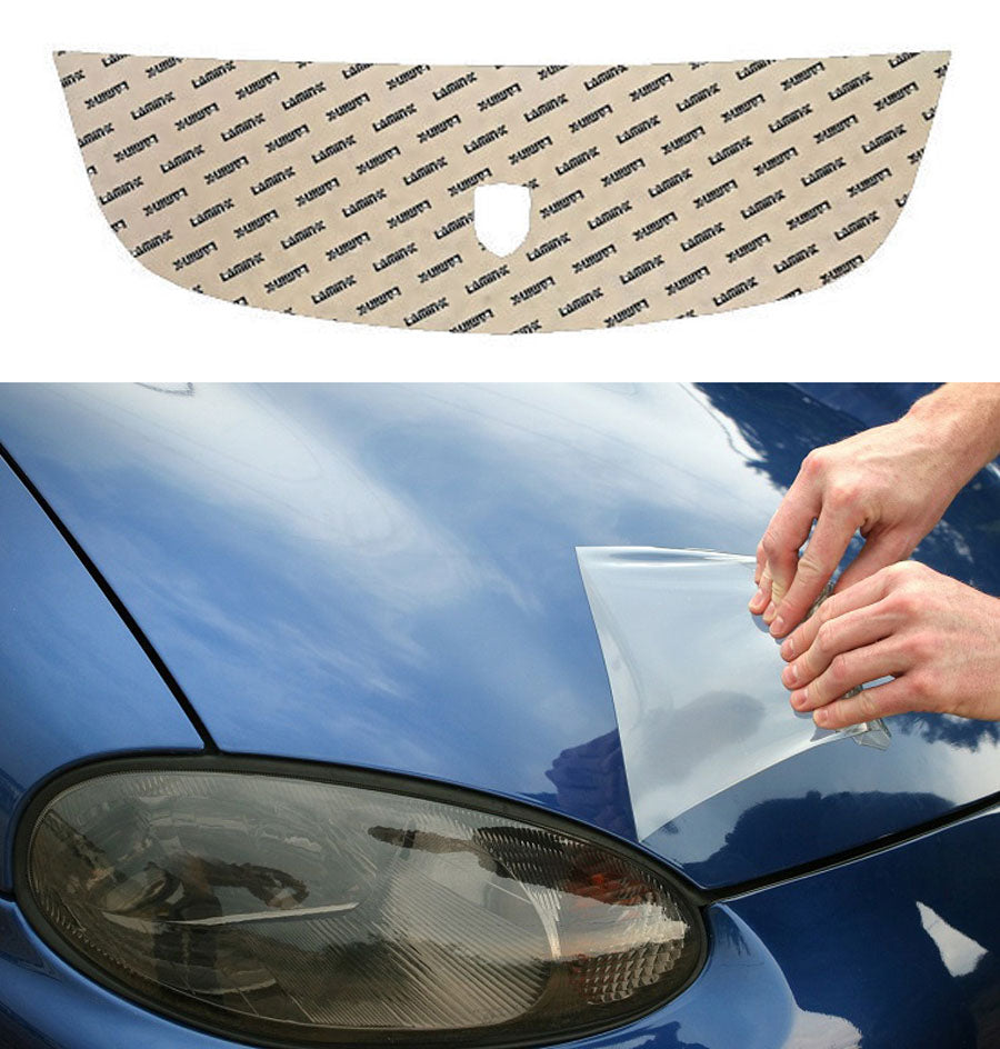 Porsche Cayman (09-12) Invisible Bug Guard